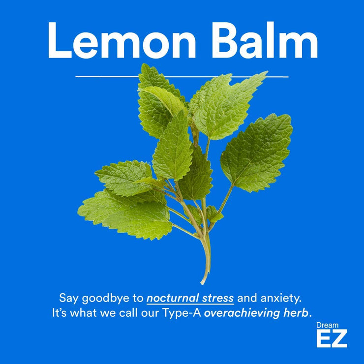 Dream EZ Melatonin 10mg Extra Strength, Sleep Vitamin, Valerian, Lemon Balm, Insomnia Relief | 36 CT